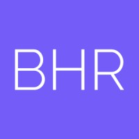 Blue Hound Recruitment - Recruitment Agency Profile