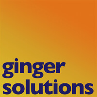 Ginger Solutions - Recruitment Agency Profile