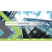 Sales Force Recruitment - Recruitment Agency Profile