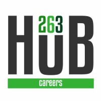 263Hub Careers - Recruitment Agency Profile