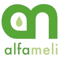 Alfameli Technical Services - Recruitment Agency Profile