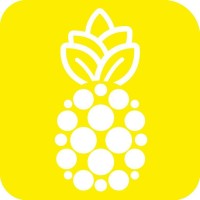 ananasjob international - Recruitment Agency Profile