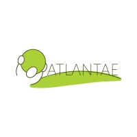 Atlantae Executive Search - Recruitment Agency Profile