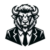 Bison IT Recruitment - Recruitment Agency Profile