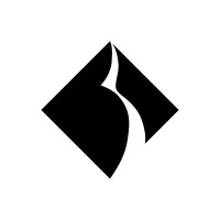 Black Diamond Networks - Recruitment Agency Profile