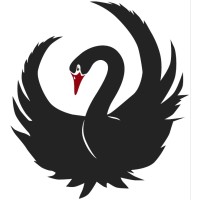 Black Swans Exist - Recruitment Agency Profile
