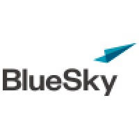 BlueSky Professional Services Group, LLC - Recruitment Agency Profile