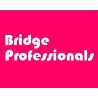Bridge Professionals - Recruitment Agency Profile