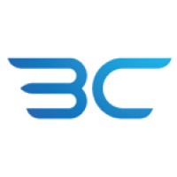 Britton Consulting - Recruitment Agency Profile