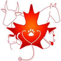 Canada VetWork Inc - Recruitment Agency Profile