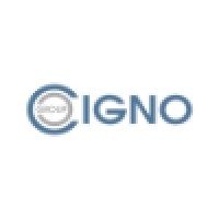 Cigno Consulting - Recruitment Agency Profile