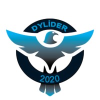 DY Lider - Recruitment Agency Profile