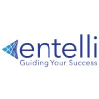 Entelli Consulting - Recruitment Agency Profile