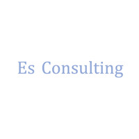 Es Consulting Pmv - Recruitment Agency Profile