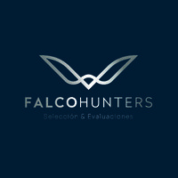 Falco Hunters - Recruitment Agency Profile