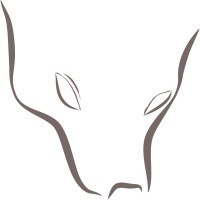 FUCHS Management Consulting - Recruitment Agency Profile
