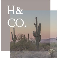 Hansen and Co. Consulting - Recruitment Agency Profile