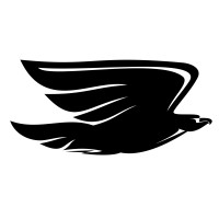 IT Hunter - Recruitment Agency Profile