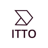 IT TANA OPPORTUNITIES - ITTO - Recruitment Agency Profile