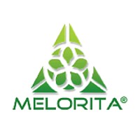 Melorita Healthcare - Recruitment Agency Profile