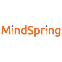 MindSpring Partners LLC - Recruitment Agency Profile