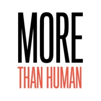 MoreThanHumanMX - Recruitment Agency Profile