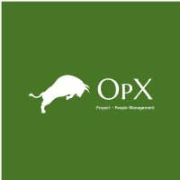 OpX Project + People Management - Recruitment Agency Profile