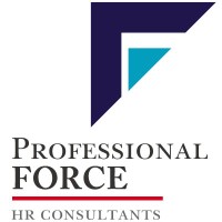 PROFESSIONAL FORCE - Recruitment Agency Profile