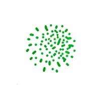 Ramiify Search - Recruitment Agency Profile
