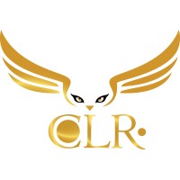 RLC.Inc - Recruitment Agency Profile