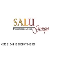 SALU Groupe Sarl - Recruitment Agency Profile