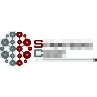 STRATEGIC CORP - Recruitment Agency Profile