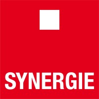 Synergie Hunt International - Recruitment Agency Profile