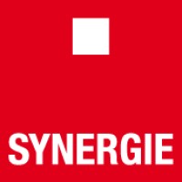 Synergie Luxembourg - Recruitment Agency Profile