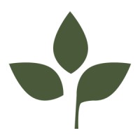 Talent Tree Limited - Recruitment Agency Profile
