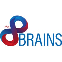 The8Brains - Recruitment Agency Profile