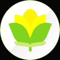 Tulip Grove - Recruitment Agency Profile