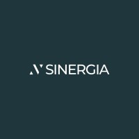 VyN SINERGIA - Recruitment Agency Profile