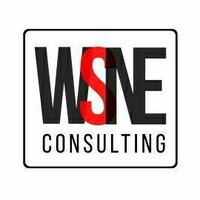 WSNE Consulting - Recruitment Agency Profile
