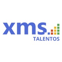 XMS TALENTOS TI - Recruitment Agency Profile
