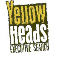 Yellow Heads Polska Sp. z o.o. - Recruitment Agency Profile