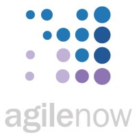 agile now - Recruitment Agency Profile