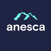 Anesca Talent - Recruitment Agency Profile