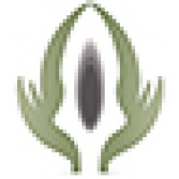 Artichoke Partners - Recruitment Agency Profile