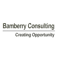 Bamberry Consulting - Recruitment Agency Profile