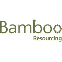 Bamboo Resourcing - Recruitment Agency Profile