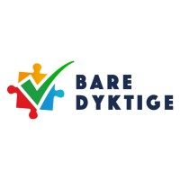 Bare Dyktige AS - Recruitment Agency Profile