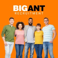 BIG ANT recruitment solutions - Recruitment Agency Profile