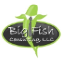 Big Fish Consulting, LLC - Recruitment Agency Profile
