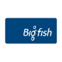 Big Fish Search & Selection - Recruitment Agency Profile